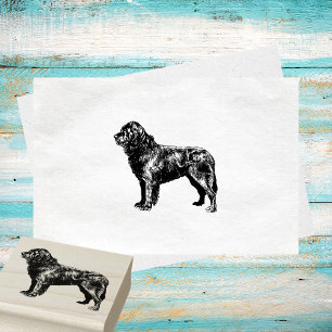 Newfoundland Hund aveln Stämpel