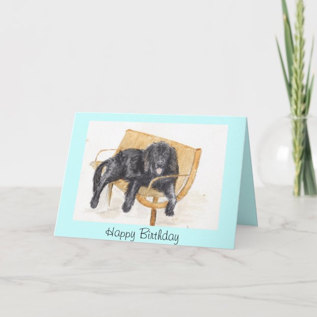Newfoundland Hund Birthday Card Kort (Framsida)
