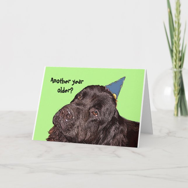 Newfoundland Hund Birthday Card Kort (Framsida)