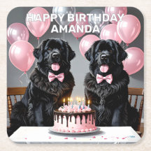 Newfoundland Hund Birthday