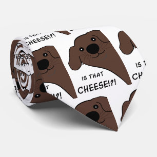 Newfoundland Hund Brun Är Det Ost Slips