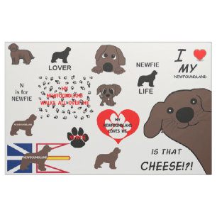 Newfoundland Hund Brun Är Det Ost Tyg