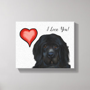 Newfoundland Hund Canvastryck