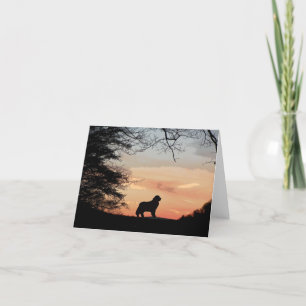 Newfoundland Hund Card Kort