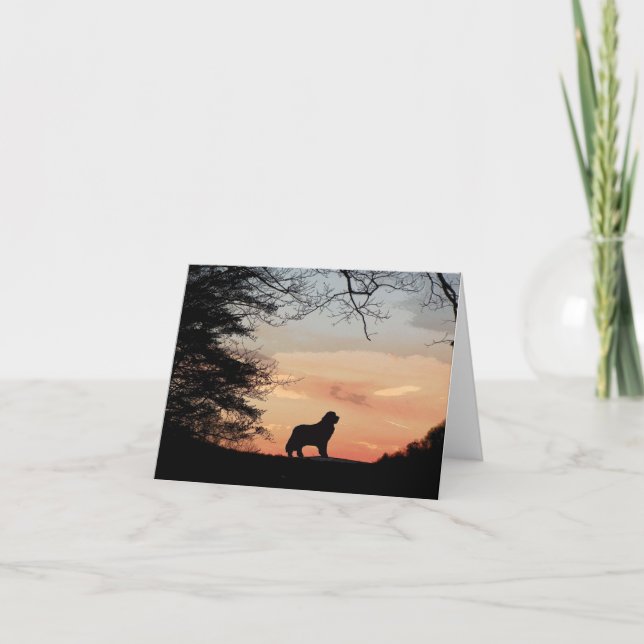 Newfoundland Hund Card Kort (Framsida)