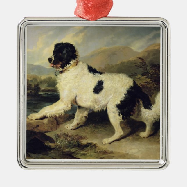 Newfoundland Hund CKallland Lejonare, 1824 (olja p Julgransprydnad Metall (Framsidan)