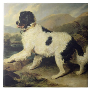 Newfoundland Hund CKallland Lejonare, 1824 (olja p Kakelplatta