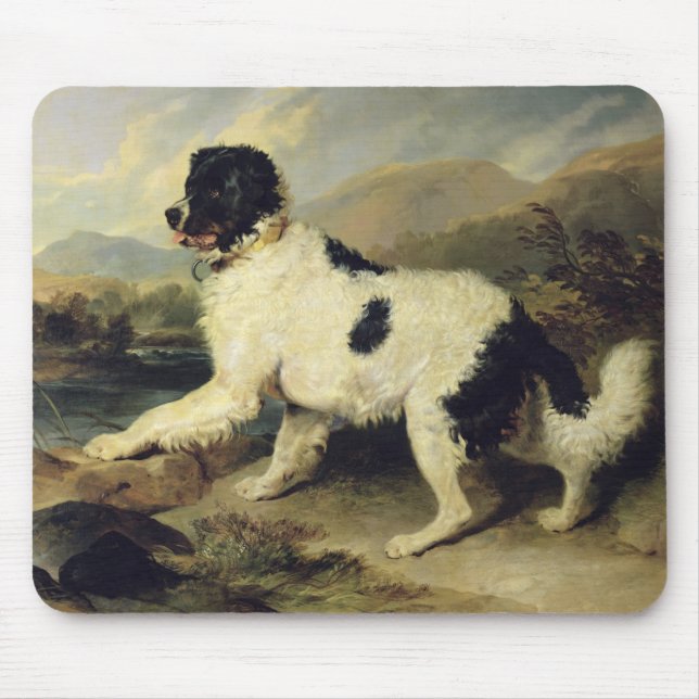 Newfoundland Hund CKallland Lejonare, 1824 (olja p Musmatta (Framsidan)