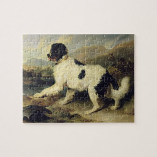 Newfoundland Hund CKallland Lejonare, 1824 (olja p Pussel