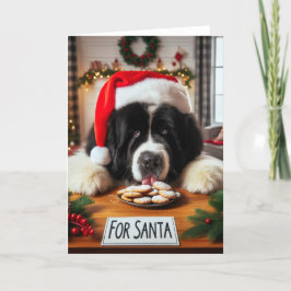 Newfoundland Hund Cookie Slickar julkort Helgkort