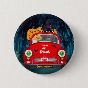 Newfoundland Hund Driving Car Scary Halloween Knapp
