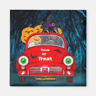 Newfoundland Hund Driving Car Scary Halloween Magnet