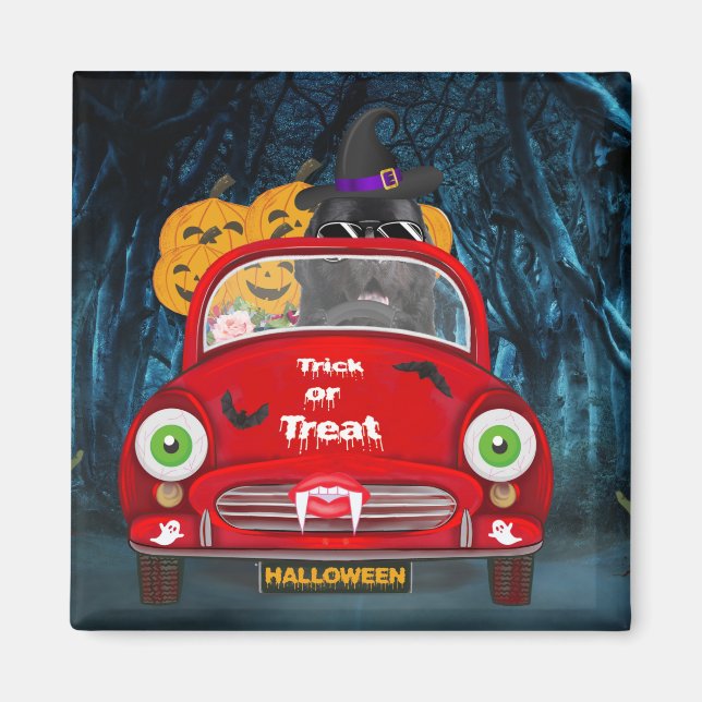 Newfoundland Hund Driving Car Scary Halloween Magnet (Framsidan)