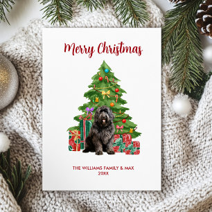 Newfoundland Hund Family jul Julkort