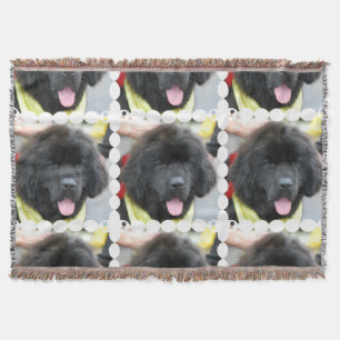 Newfoundland hund filt