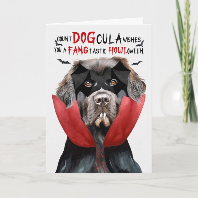 Newfoundland Hund Funny Count DOGcula Halloween Helgkort (Framsida)