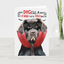 Newfoundland Hund Funny Count DOGcula Halloween