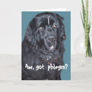 Newfoundland Hund Get well Card Kort