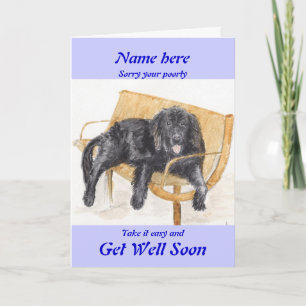 Newfoundland Hund Get well Soon Card add namn Kort