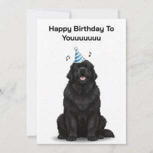 Newfoundland Hund Glad Födelsedag Till Diggggg Kor Inbjudningar