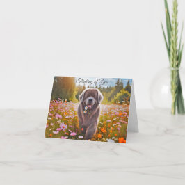 Newfoundland Hund Grått Thinking of You Note Card Tack Kort