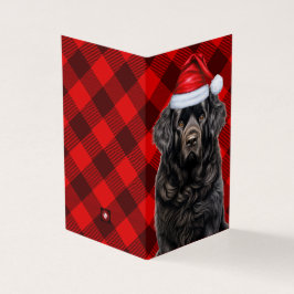 Newfoundland Hund Helgdag Red Play-julkort Kort