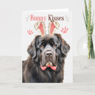 Newfoundland Hund i Bunny Öron för Påsk Helgkort