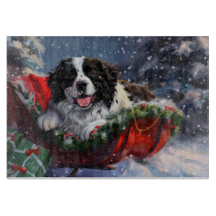 Newfoundland Hund jul