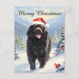 Newfoundland hund jul helg vykort