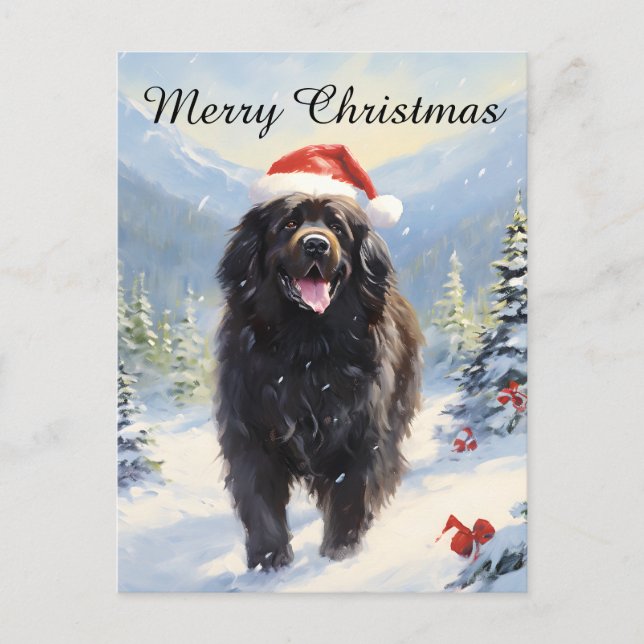 Newfoundland hund jul helg vykort (Framsida)