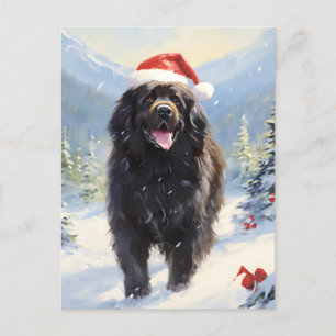 Newfoundland hund jul helg vykort