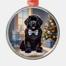 Newfoundland Hund jul