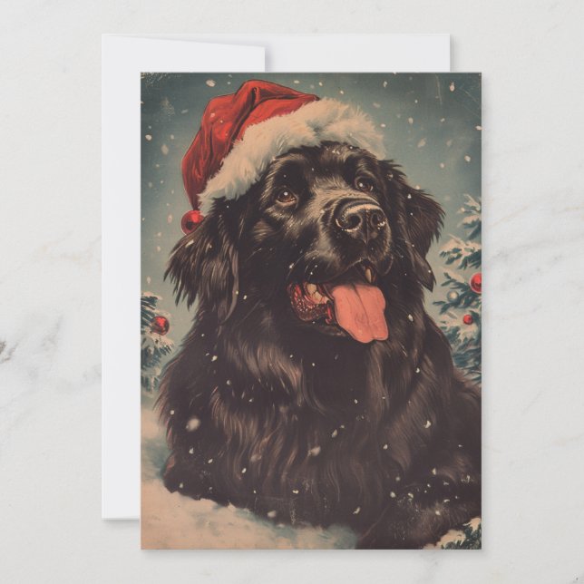 Newfoundland hund jul julkort (Framsida)