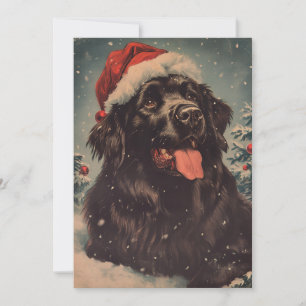 Newfoundland hund jul julkort