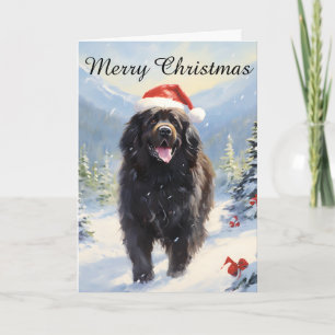 Newfoundland hund jul kort