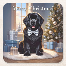 Newfoundland Hund jul