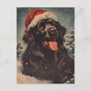 Newfoundland hund jul vykort