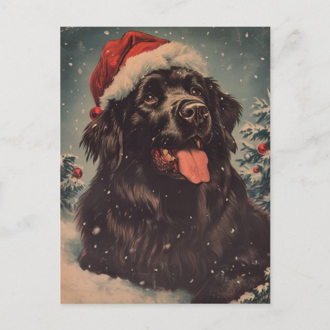 Newfoundland hund jul vykort (Framsida)