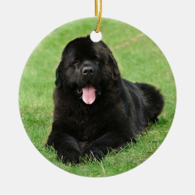 Newfoundland hund julgransprydnad keramik (Framsidan)