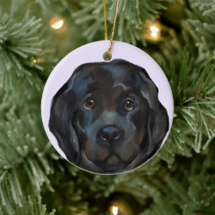 Newfoundland Hund Julgransprydnad Keramik