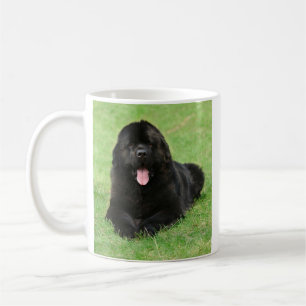 Newfoundland hund kaffemugg