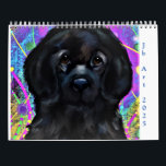 NEWFOUNDLAND HUND KALENDER<br><div class="desc">BEAUTIFUL NEWFOUNDLAND HUND ART!</div>