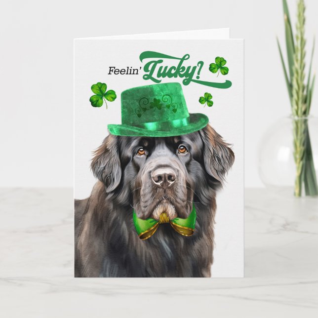 Newfoundland Hund Känner Lycka St Patrick's Day Helgkort (Framsida)