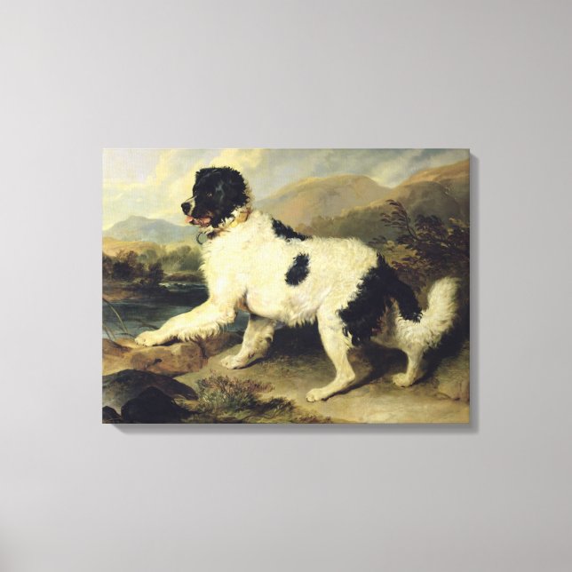 Newfoundland Hund Lejon, 1824 (olja på arbetsyta) Canvastryck (Framsida)