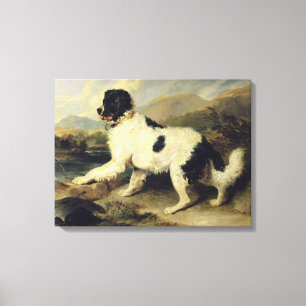 Newfoundland Hund Lejon, 1824 (olja på arbetsyta) Canvastryck