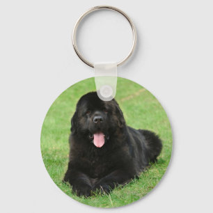 Newfoundland hund nyckelring
