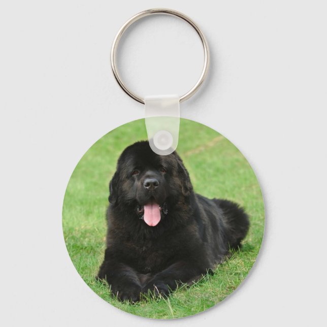 Newfoundland hund nyckelring (Framsida)
