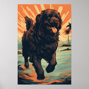 Newfoundland-hund på stranden poster