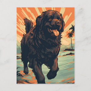 Newfoundland-hund på stranden vykort