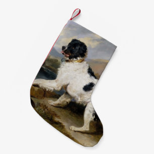 Newfoundland Hund País Liten Julstrumpa